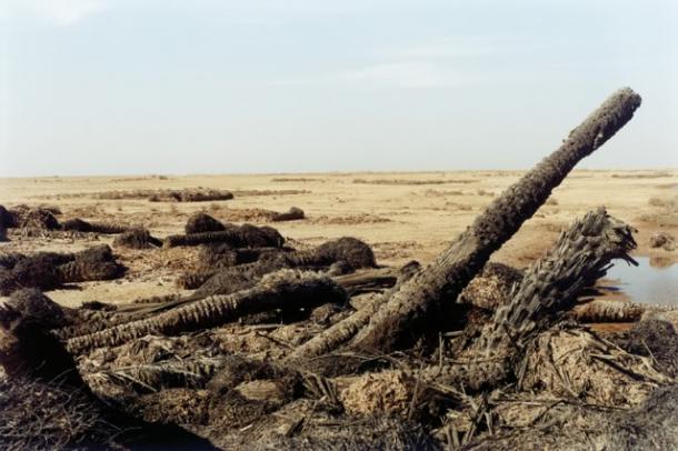 Sophie Ristelhueber, Iraq, 2001